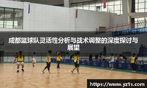 成都篮球队灵活性分析与战术调整的深度探讨与展望
